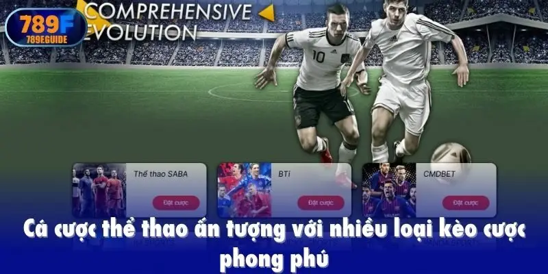 Cá cược thể thao ấn tượng với nhiều loại kèo cược 789f phong phú
