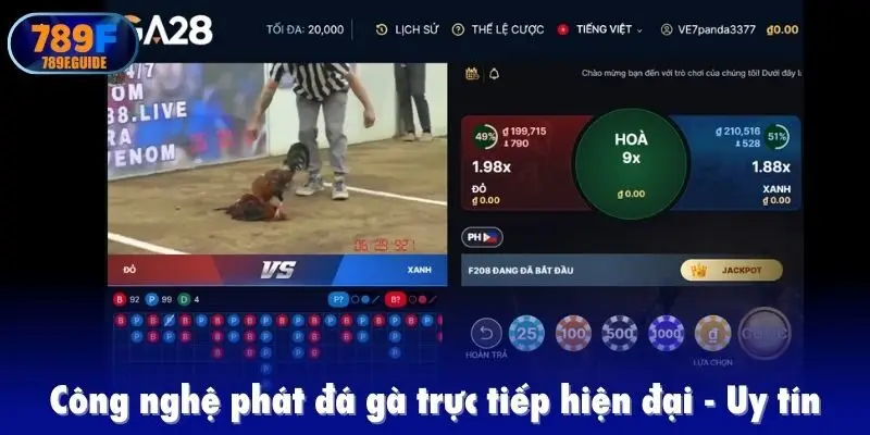 Công nghệ phát đá gà trực tiếp hiện đại, uy tín