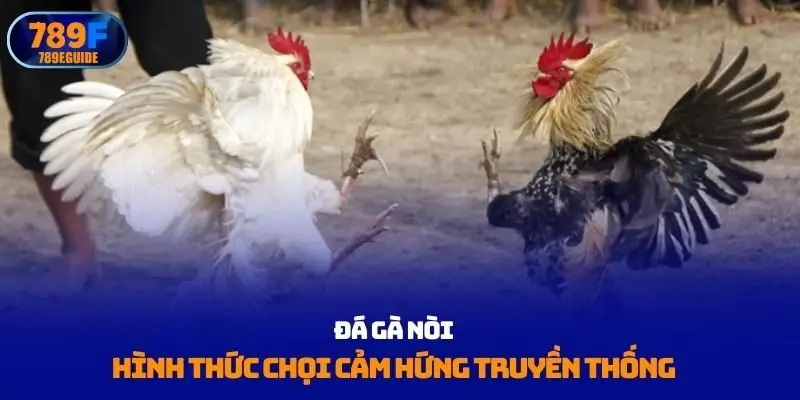 Đá gà nòi