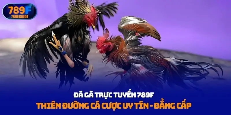 Đá gà trực tuyến 789F