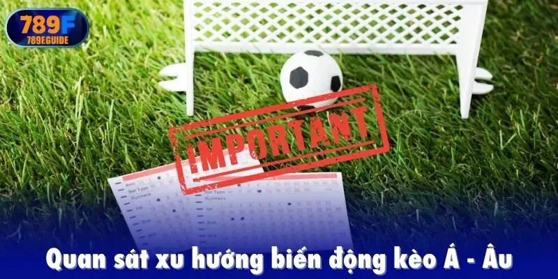 Lưu ý cho người chơi khi bắt kèo bóng đá