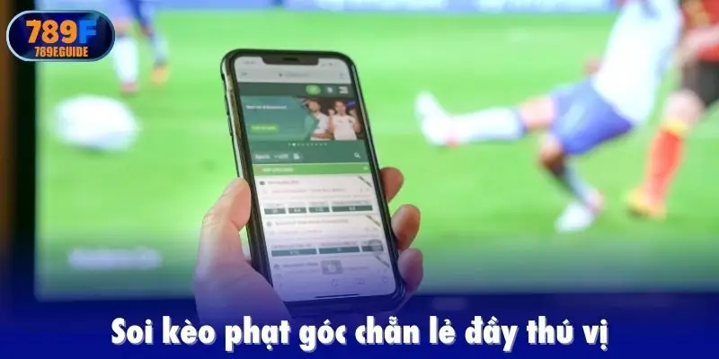 Soi kèo phạt góc chẵn lẻ đầy thú vị