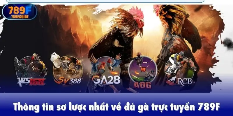 Thông tin sơ lược nhất về đá gà trực tuyến 789F