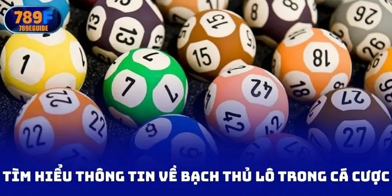 Tìm hiểu thông tin về bạch thủ lô trong cá cược