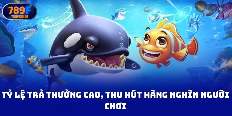 Tỷ lệ trả thưởng cao, thu hút hàng nghìn người chơi
